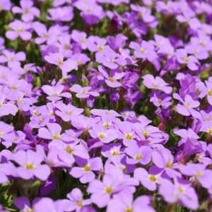 Farver, former og materialer – sådan matcher du hynderne til din indretning