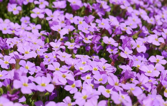 Farver, former og materialer – sådan matcher du hynderne til din indretning