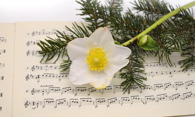 Sådan har julesange ændret sig gennem tiden