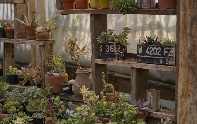 Black friday 2025: Forventningerne sprænger alle rekorder